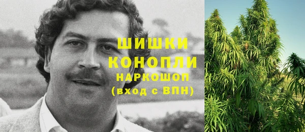 прущие грибы Балабаново
