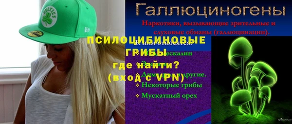 гидропоника Богданович