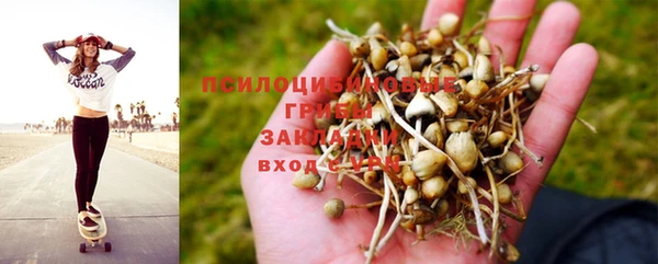 гидропоника Богданович